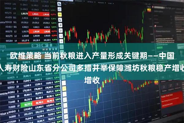 欧维策略 当前秋粮进入产量形成关键期——中国人寿财险山东省分公司多措并举保障潍坊秋粮稳产增收