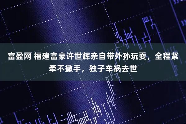 富盈网 福建富豪许世辉亲自带外孙玩耍,全程紧牵不撒手,独子车祸去世