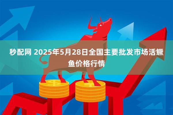 秒配网 2025年5月28日全国主要批发市场活鳜鱼价格行情