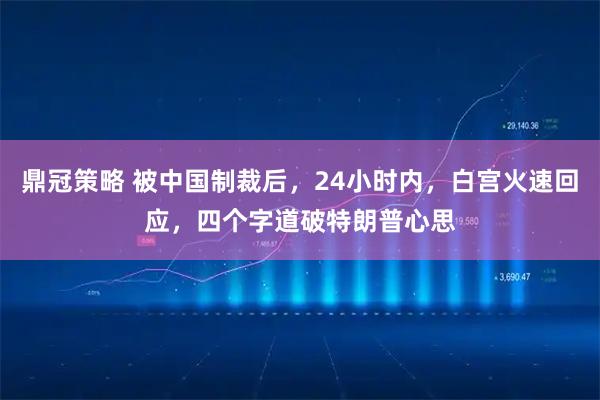 鼎冠策略 被中国制裁后,24小时内,白宫火速回应,四个字道破特朗普心思