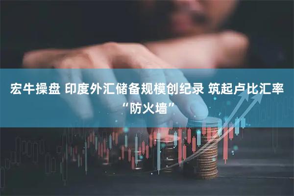 宏牛操盘 印度外汇储备规模创纪录 筑起卢比汇率“防火墙”